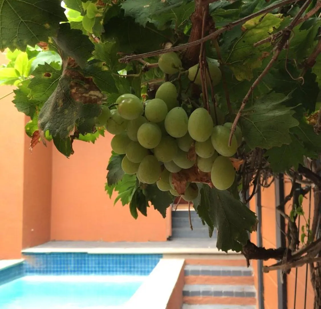 Apartamento Albatross Suite Ciudad del Cabo